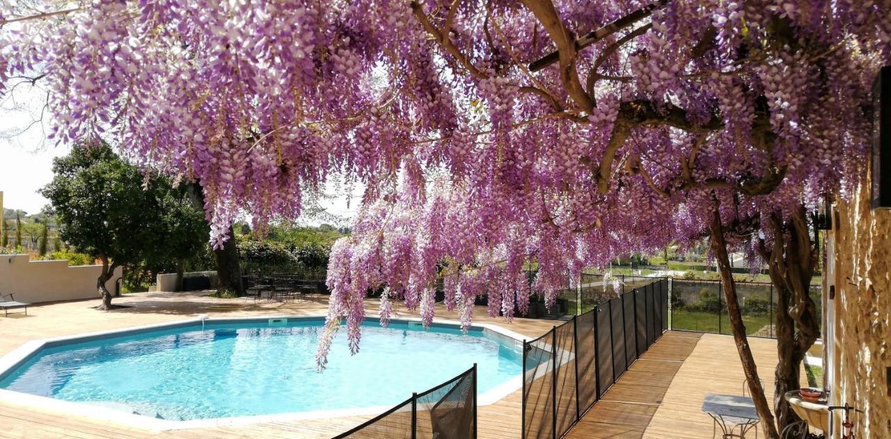 Chateau Montplaisir Charming B&B In Provence Valreas Bagian luar foto
